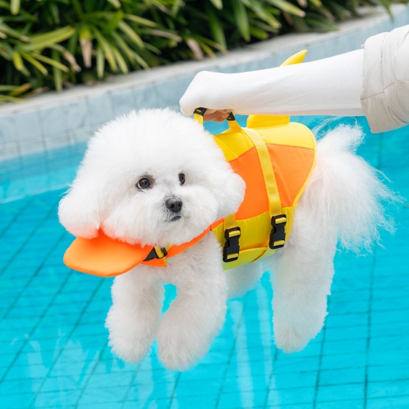 상어 모양 애견 구명조끼, 고부력 조절형 스트랩, 소형 - Life Jacket Buoyancy 리뷰 및 가격